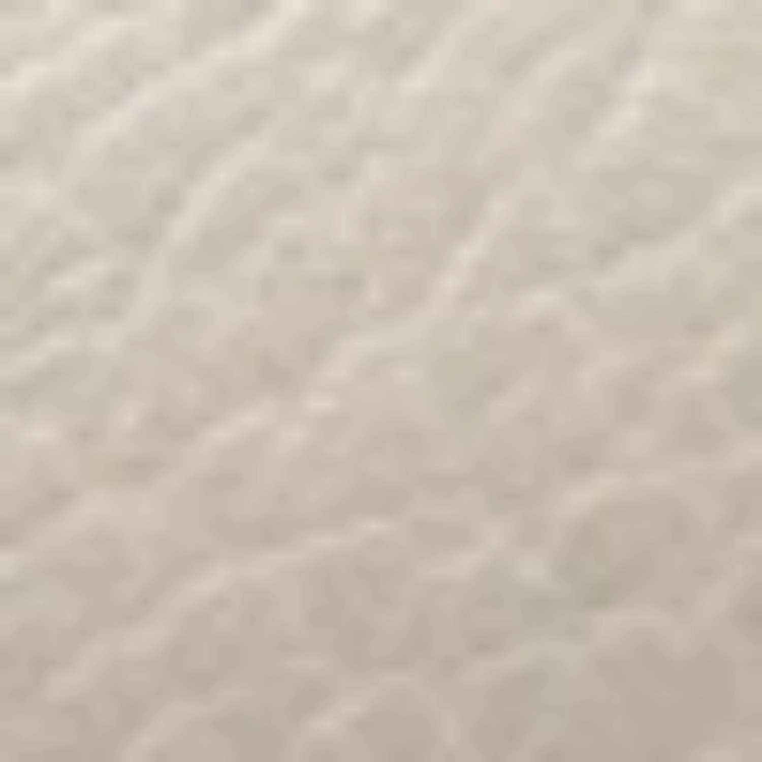 Picture of 7596 Bottalato Panna