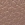 Picture of Women Leather Sport Shoes 8066 Bottalato Nude