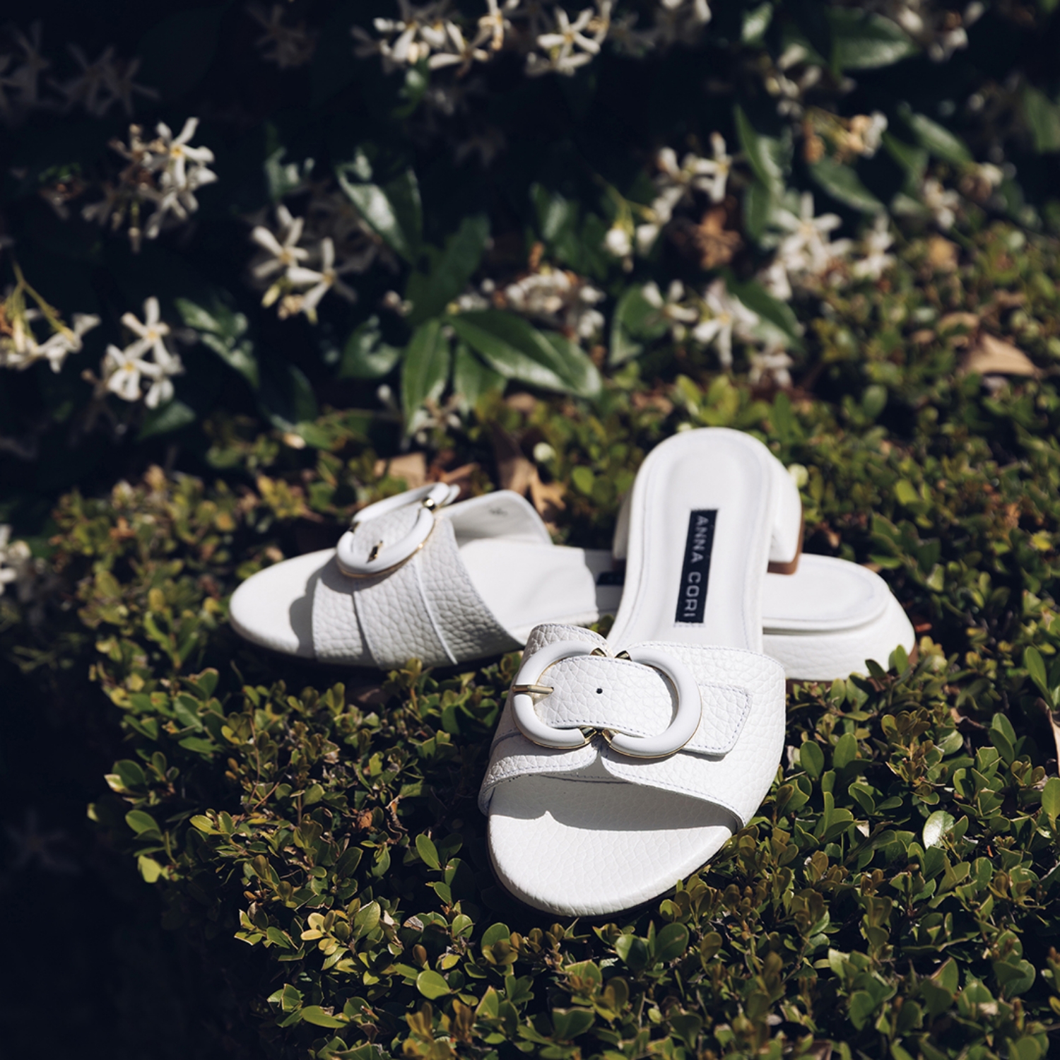 Picture of Women's Clogs 8325 Bottalato White
