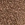 Imagine Curea dama 59 Crosta Coffee